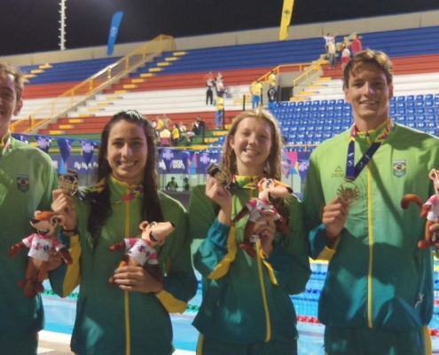 Jogos Pan-americanos: Canal Olímpico do Brasil transmite ao vivo, neste  sábado (28), finais brasileiras no